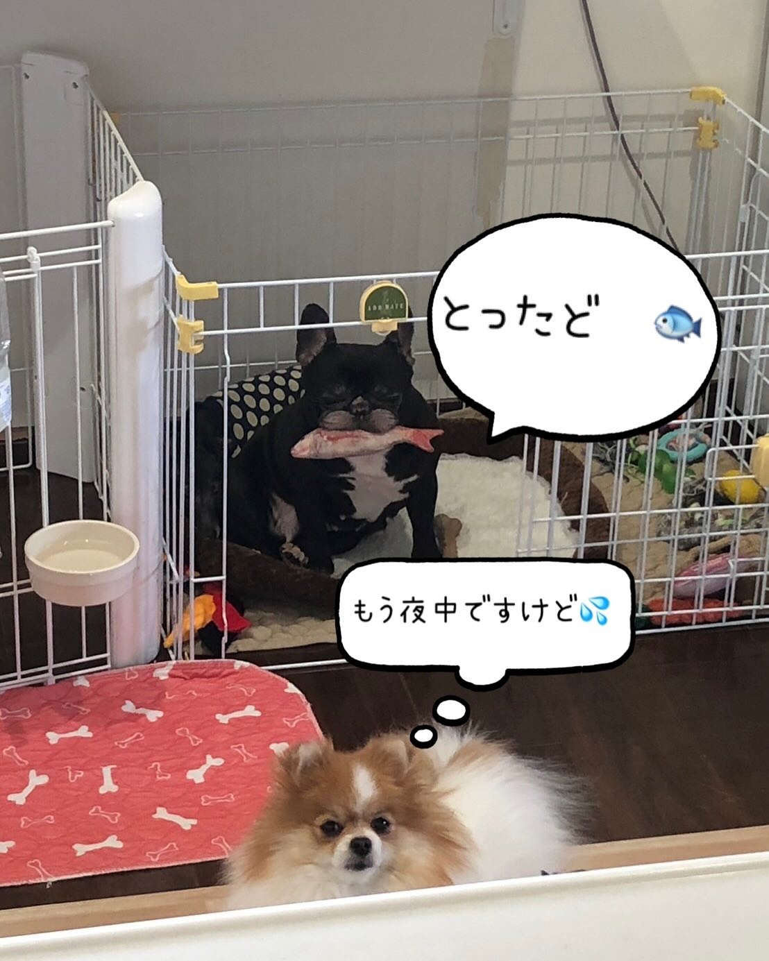 只今22:50🌉もう遅い時間💦