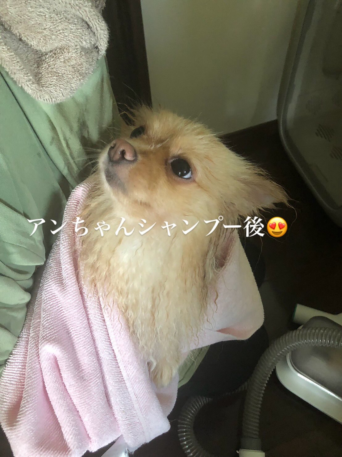 ドライヤーハウス使う時は部屋を涼しくしてドライヤーの温度は下...