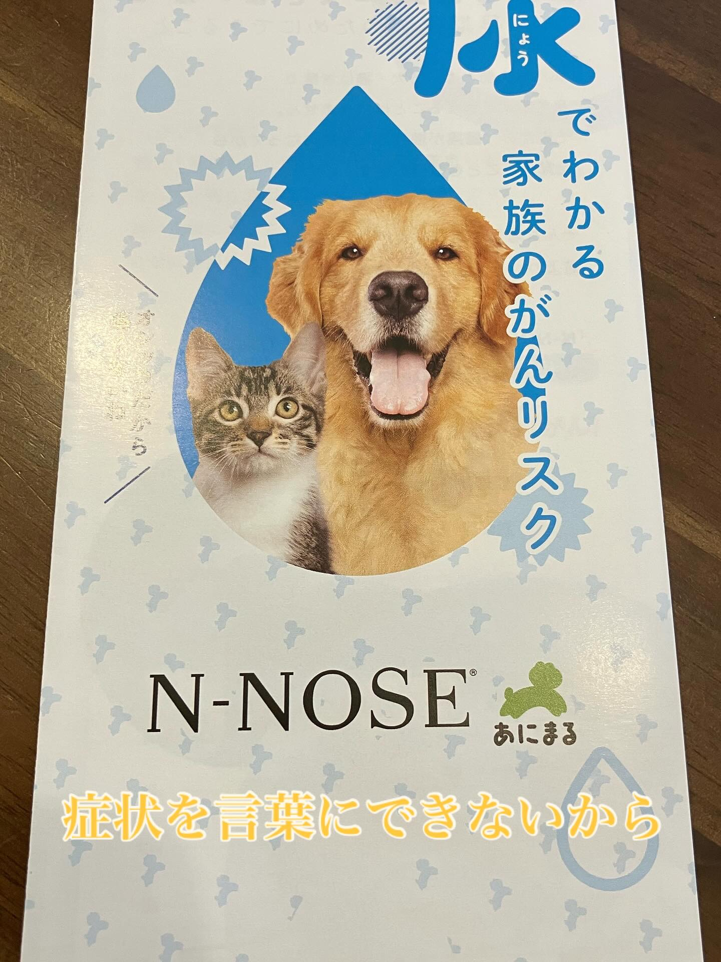 先日　講義があったので詳しく知りたいと聞きに行ってきました☺...