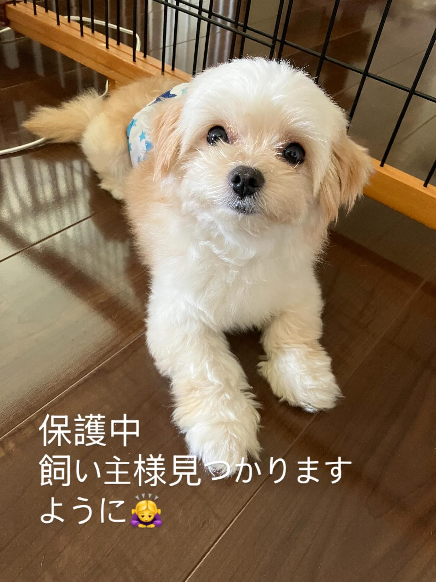 沢山の方に拡散昨夜遅くまで手伝ってくださりありがとうございま...