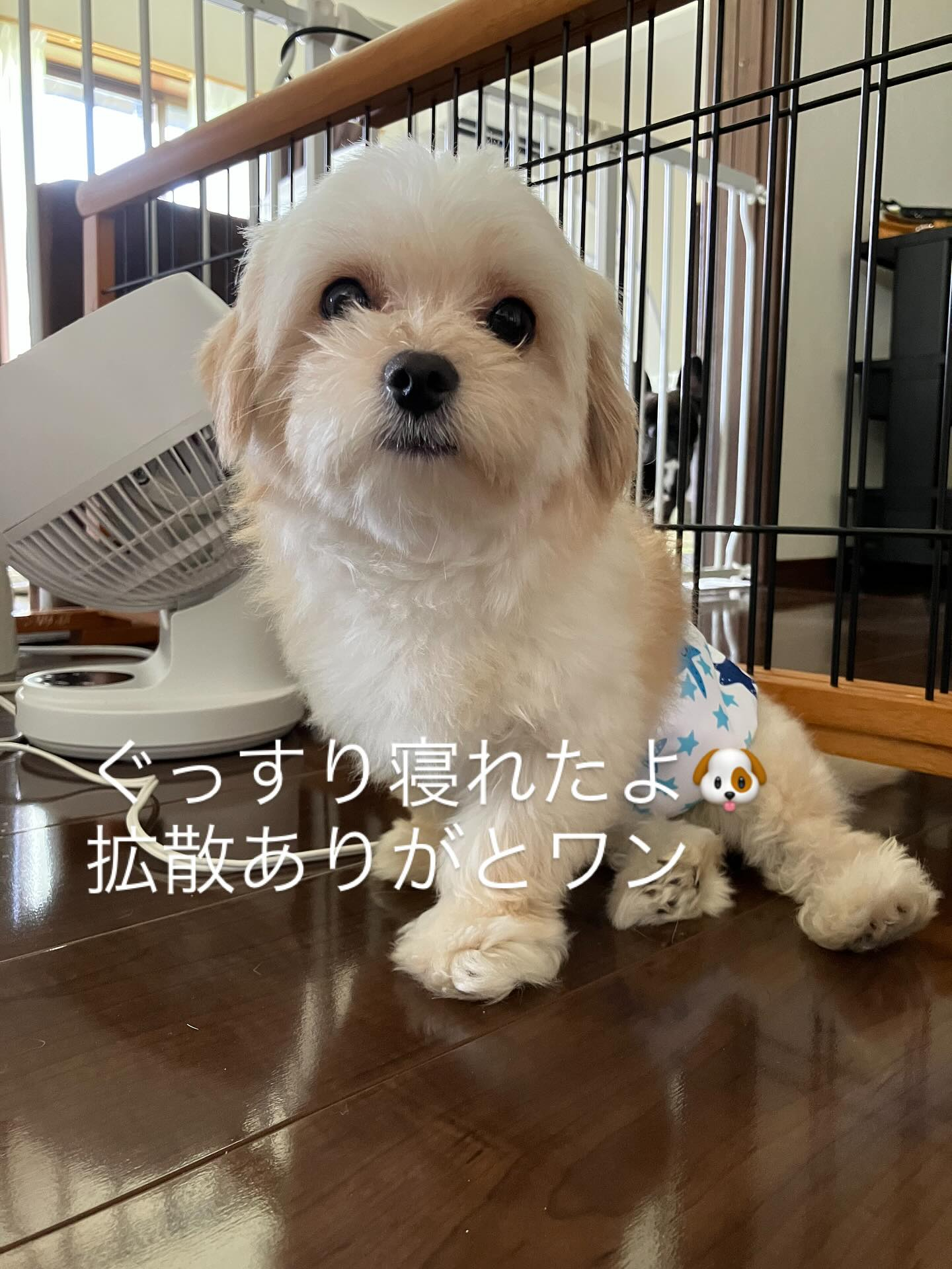 沢山の方に拡散昨夜遅くまで手伝ってくださりありがとうございま...