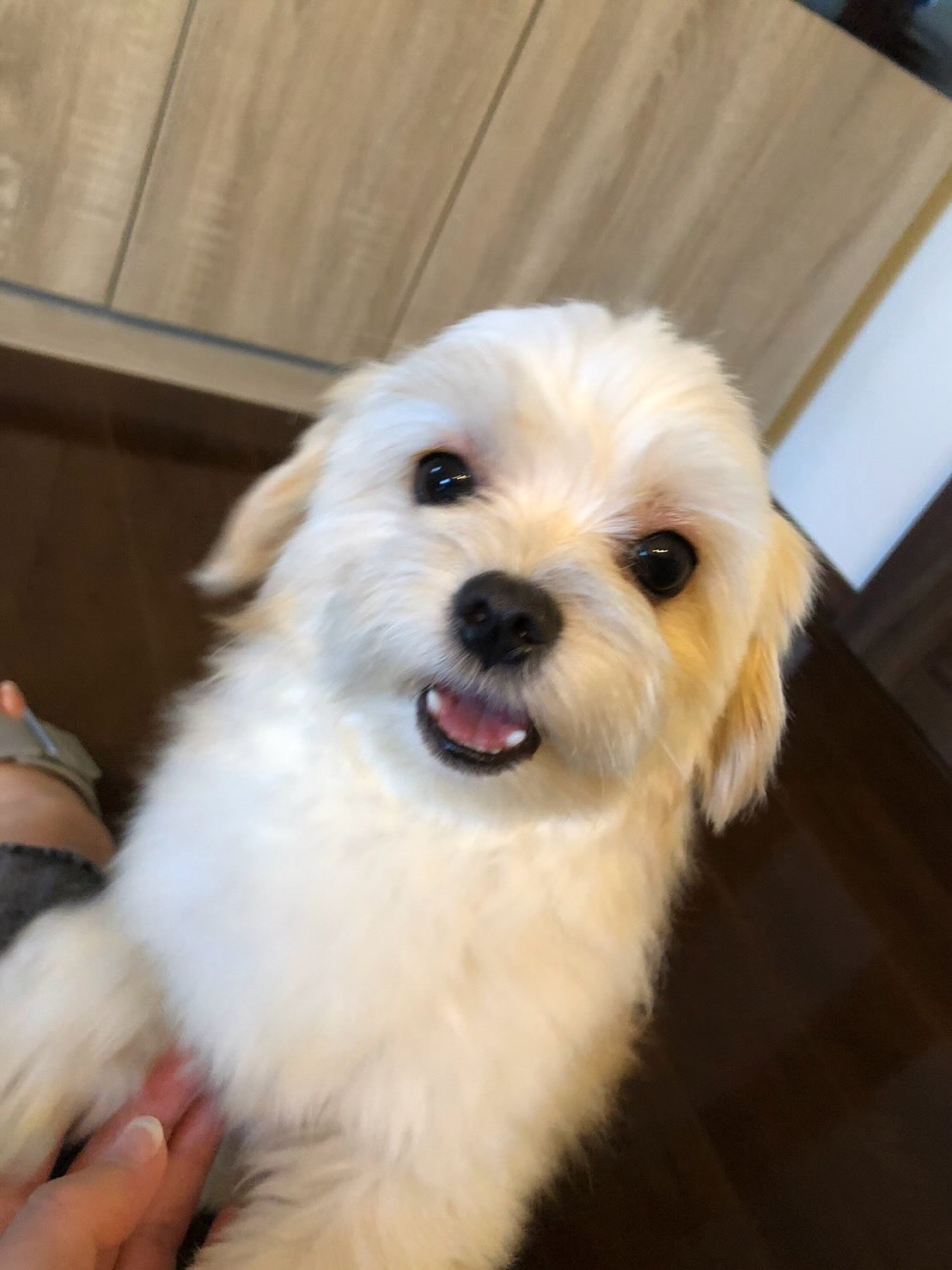 保護から3日目本日18時現在連絡無し