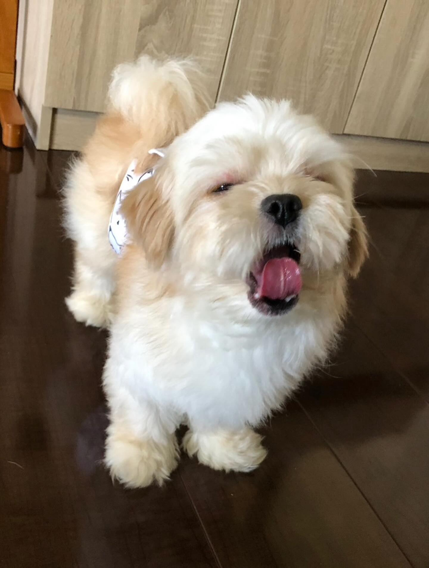 保護から3日目本日18時現在連絡無し