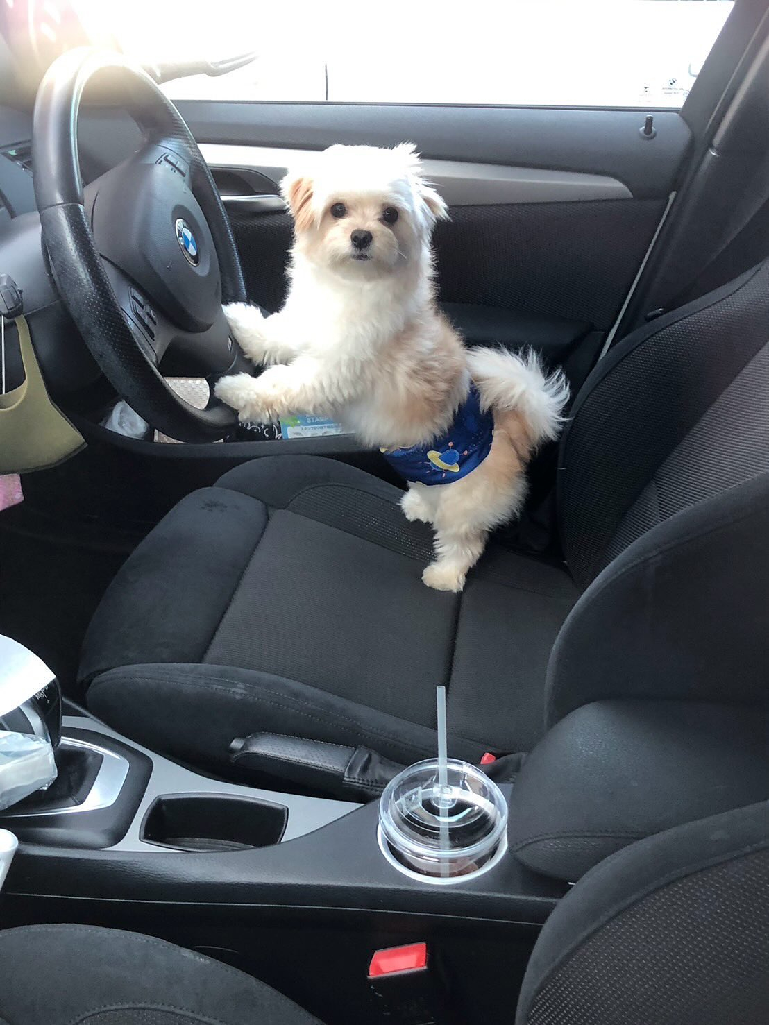 保護から3日目本日18時現在連絡無し