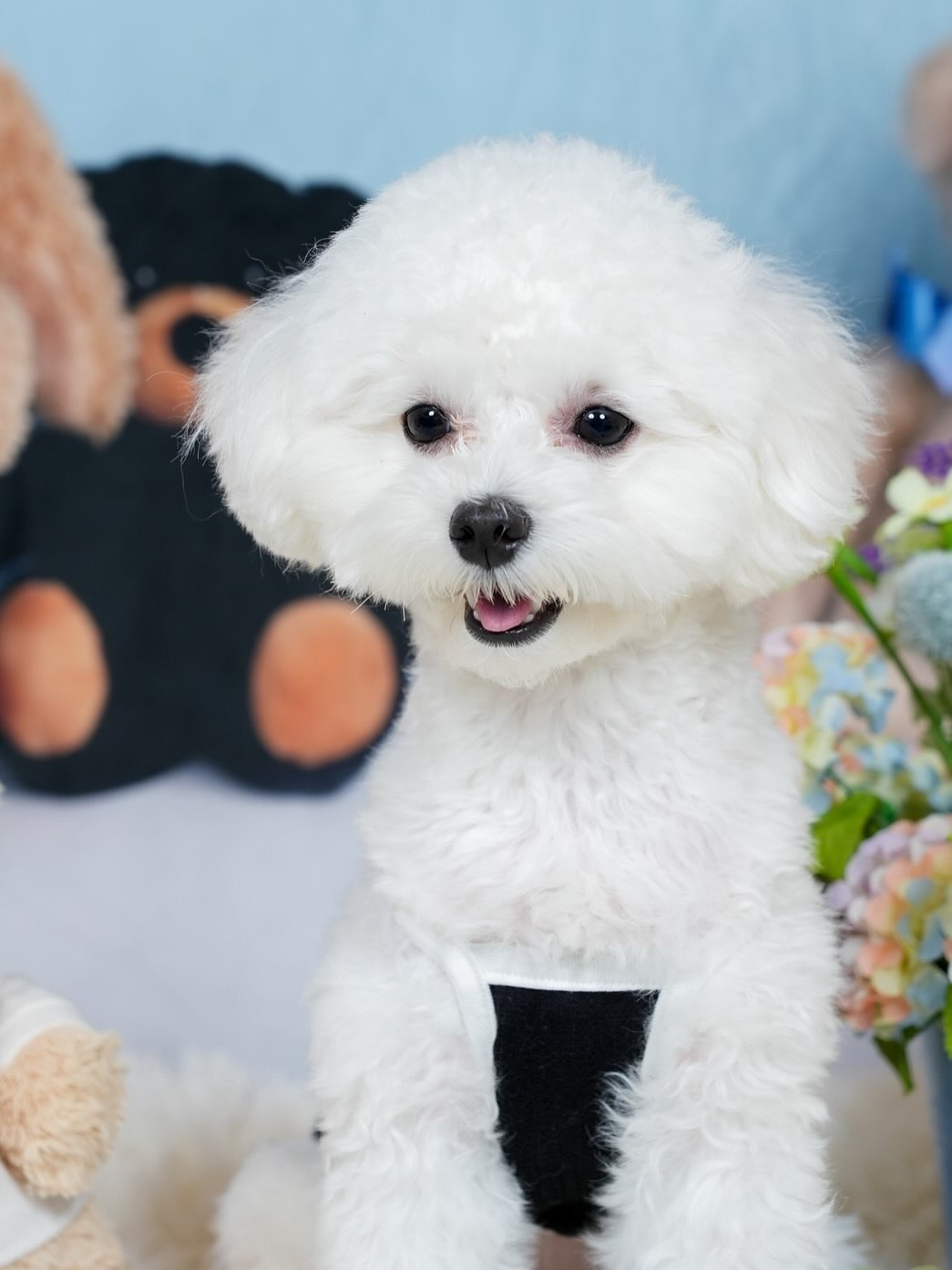 モカの愛娘のトコちゃんママから