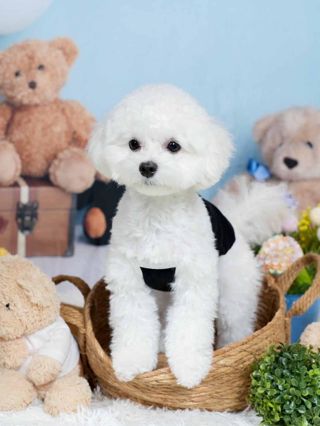 モカの愛娘のトコちゃんママから