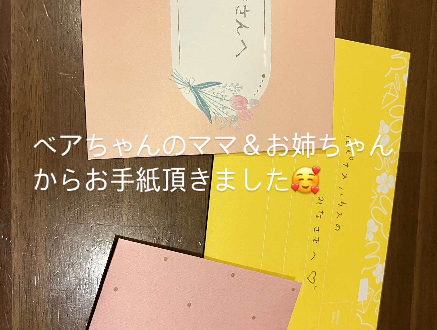 本日マルプーのベアちゃん、ママがお迎えにきてくれて奄美大島ま...