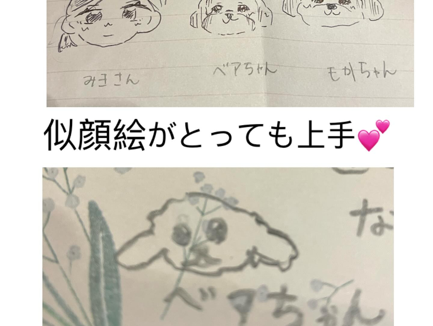 本日マルプーのベアちゃん、ママがお迎えにきてくれて奄美大島ま...