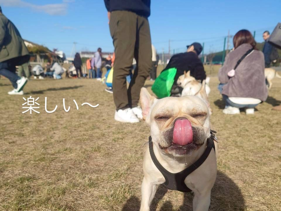 今年も無事良いお天気の元でお里会開催できました☺️