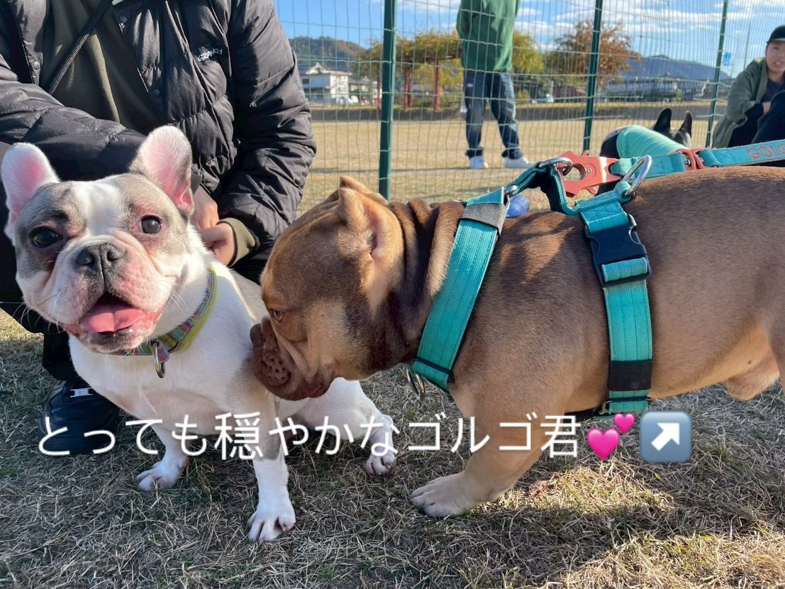 今年も無事良いお天気の元でお里会開催できました☺️