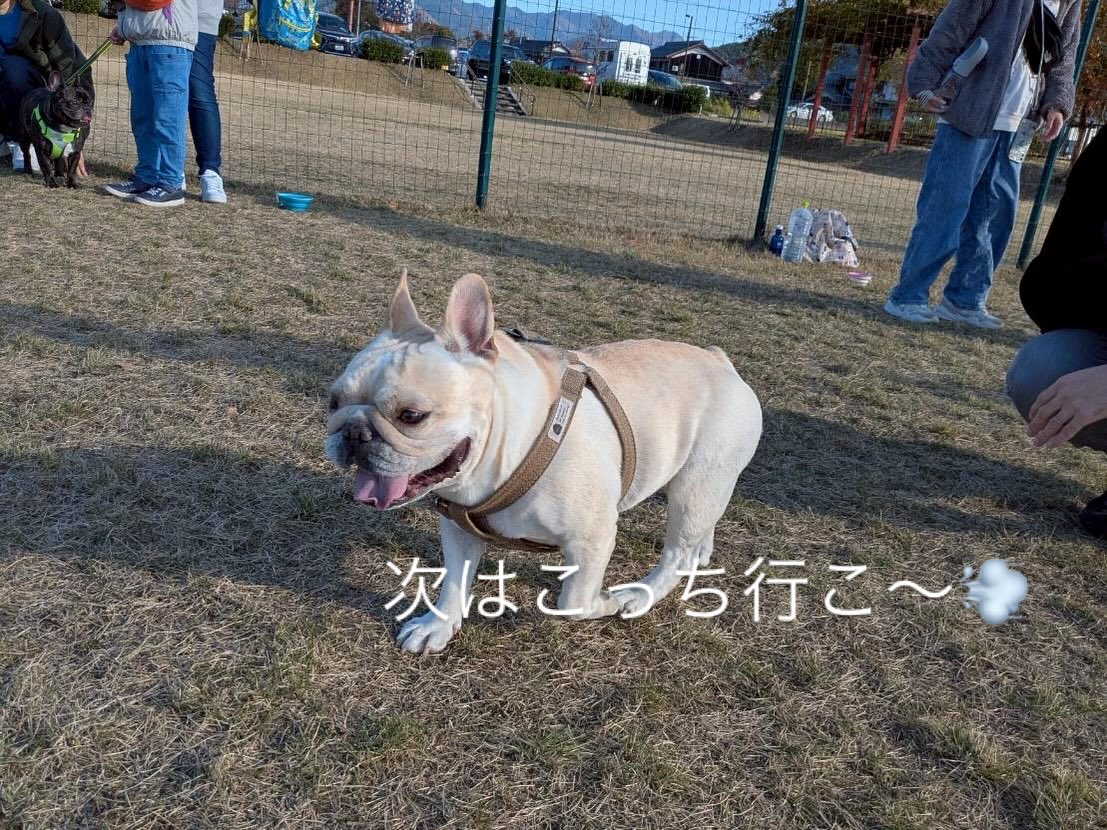 今年も無事良いお天気の元でお里会開催できました☺️