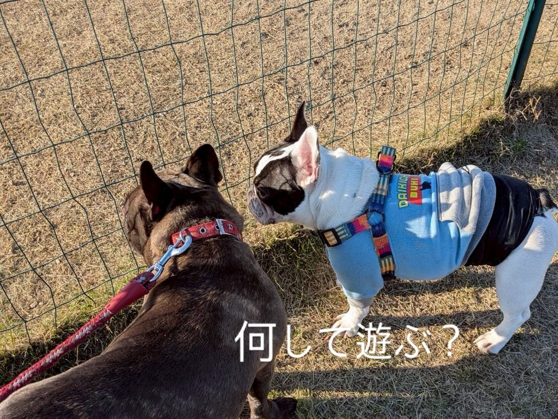今年も無事良いお天気の元でお里会開催できました☺️