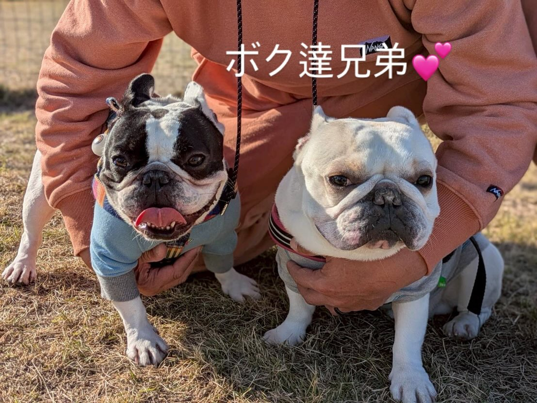 今年も無事良いお天気の元でお里会開催できました☺️