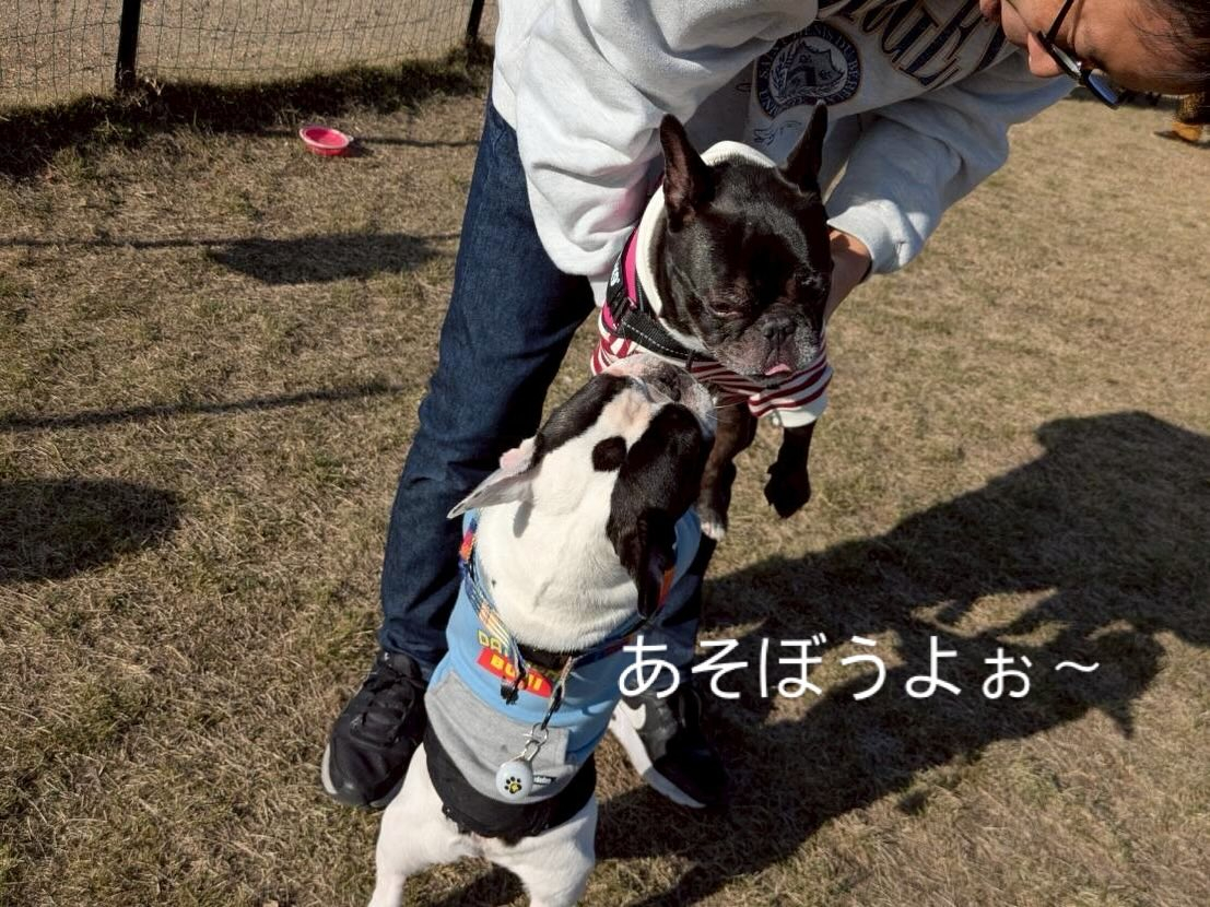 今年も無事良いお天気の元でお里会開催できました☺️