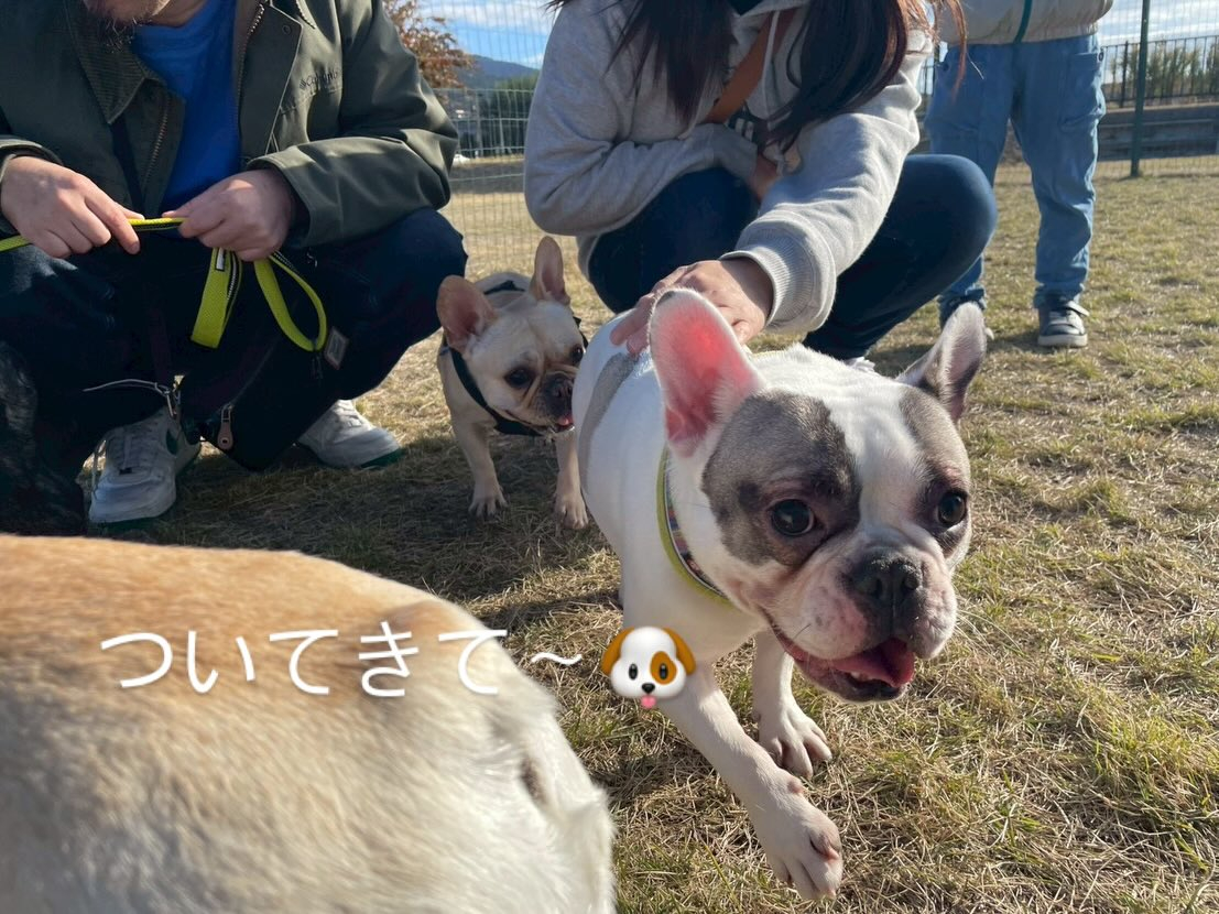 今年も無事良いお天気の元でお里会開催できました☺️