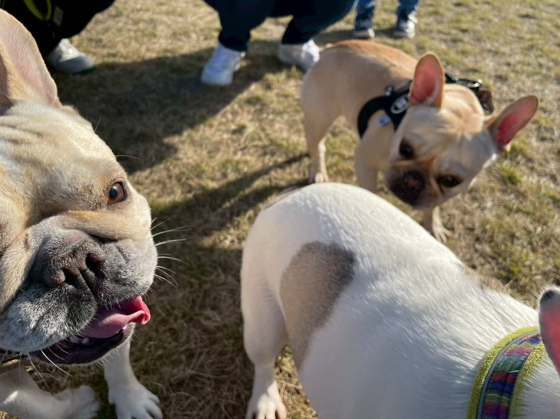 今年も無事良いお天気の元でお里会開催できました☺️