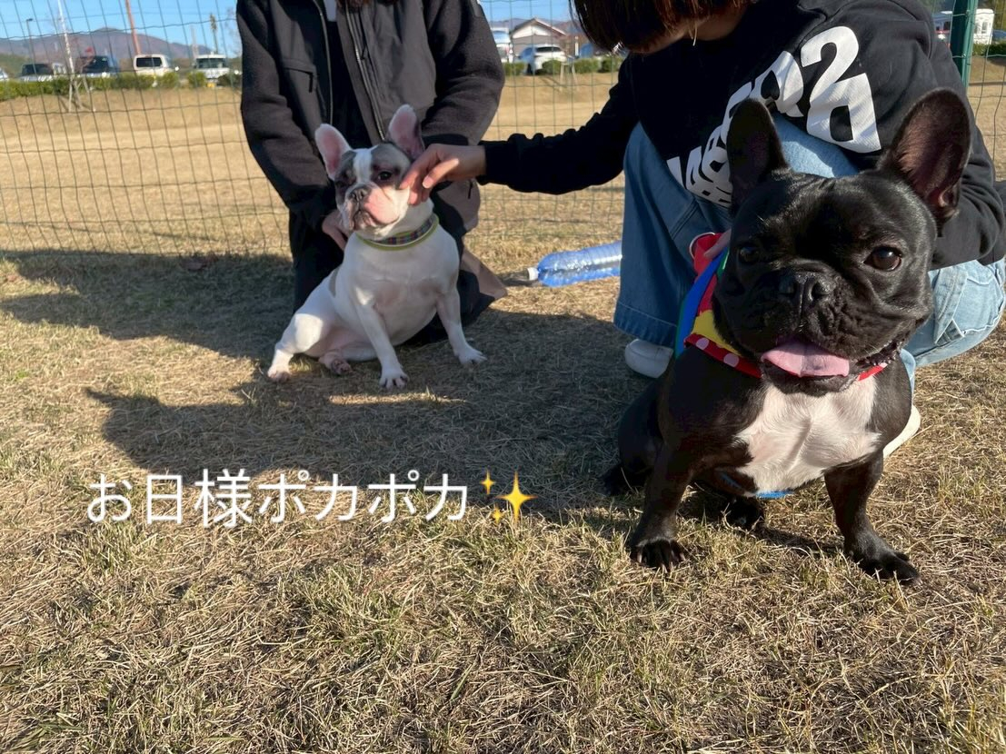 今年も無事良いお天気の元でお里会開催できました☺️