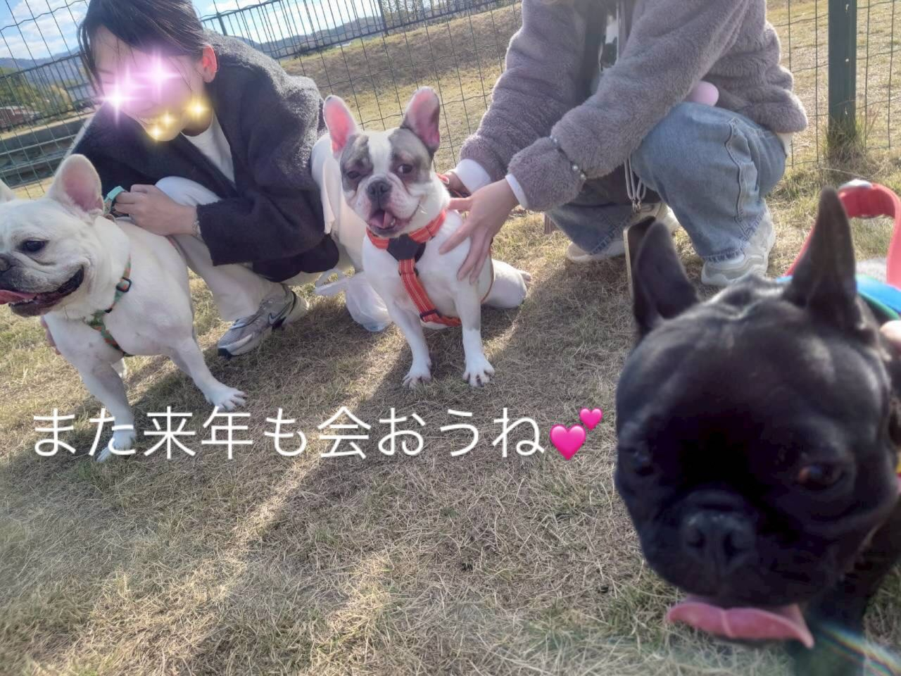 今年も無事良いお天気の元でお里会開催できました☺️