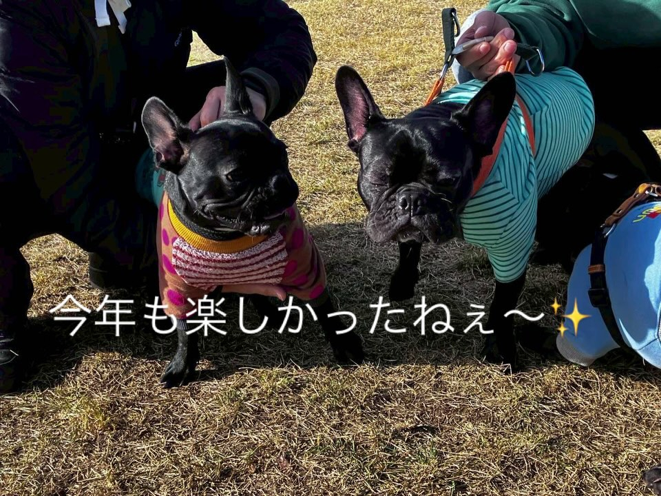 今年も無事良いお天気の元でお里会開催できました☺️