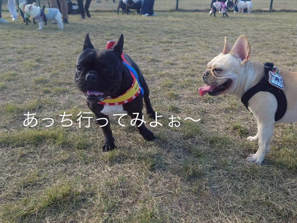 今年も無事良いお天気の元でお里会開催できました☺️