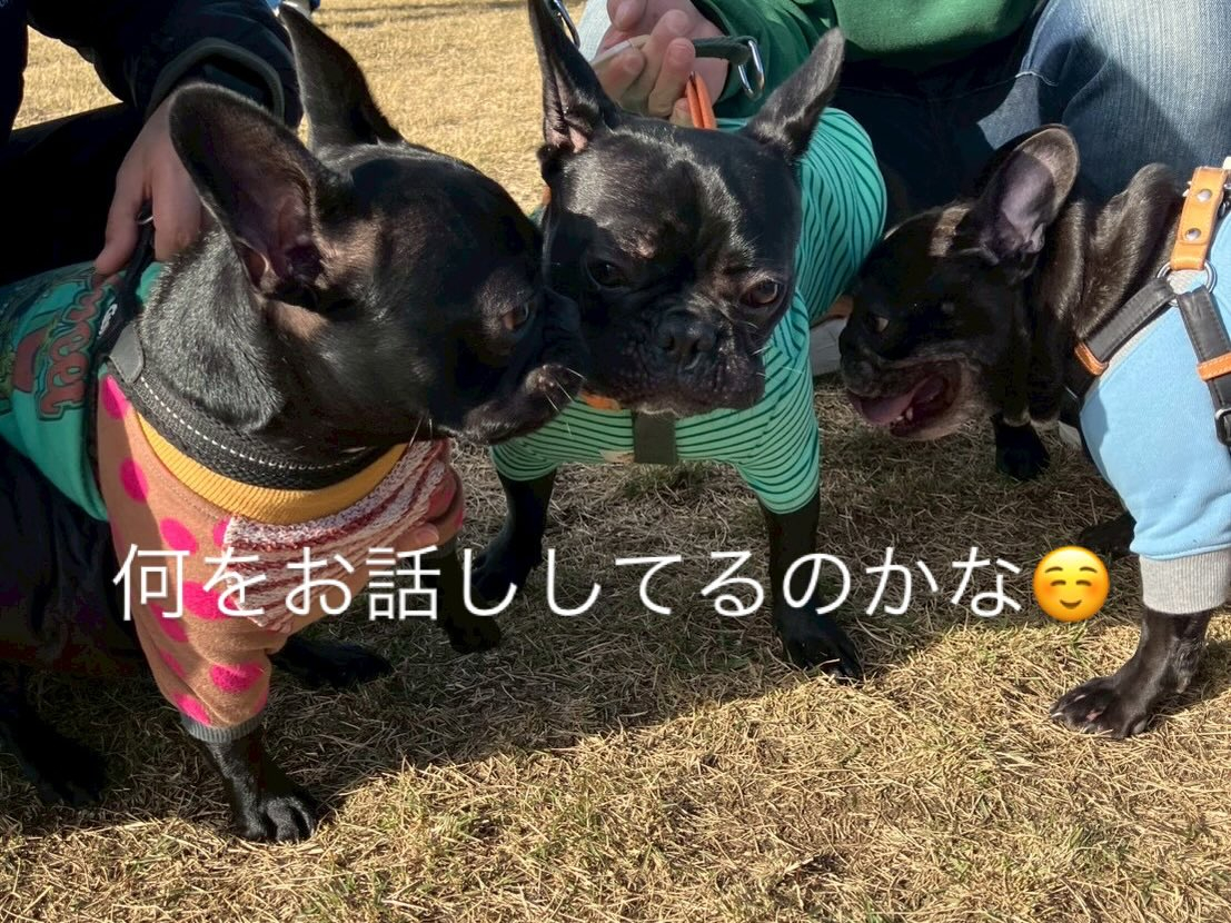 今年も無事良いお天気の元でお里会開催できました☺️