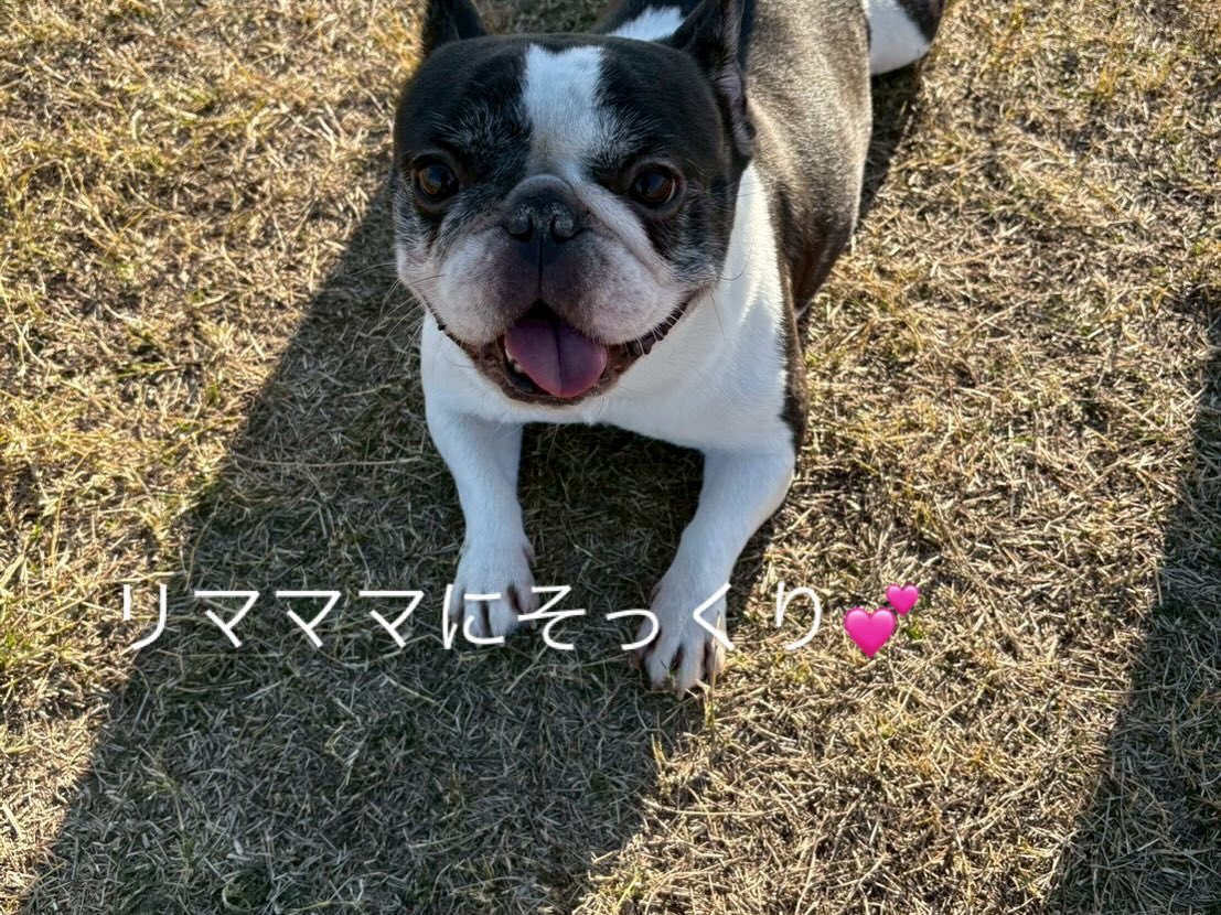 今年も無事良いお天気の元でお里会開催できました☺️