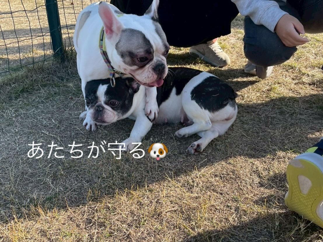 今年も無事良いお天気の元でお里会開催できました☺️