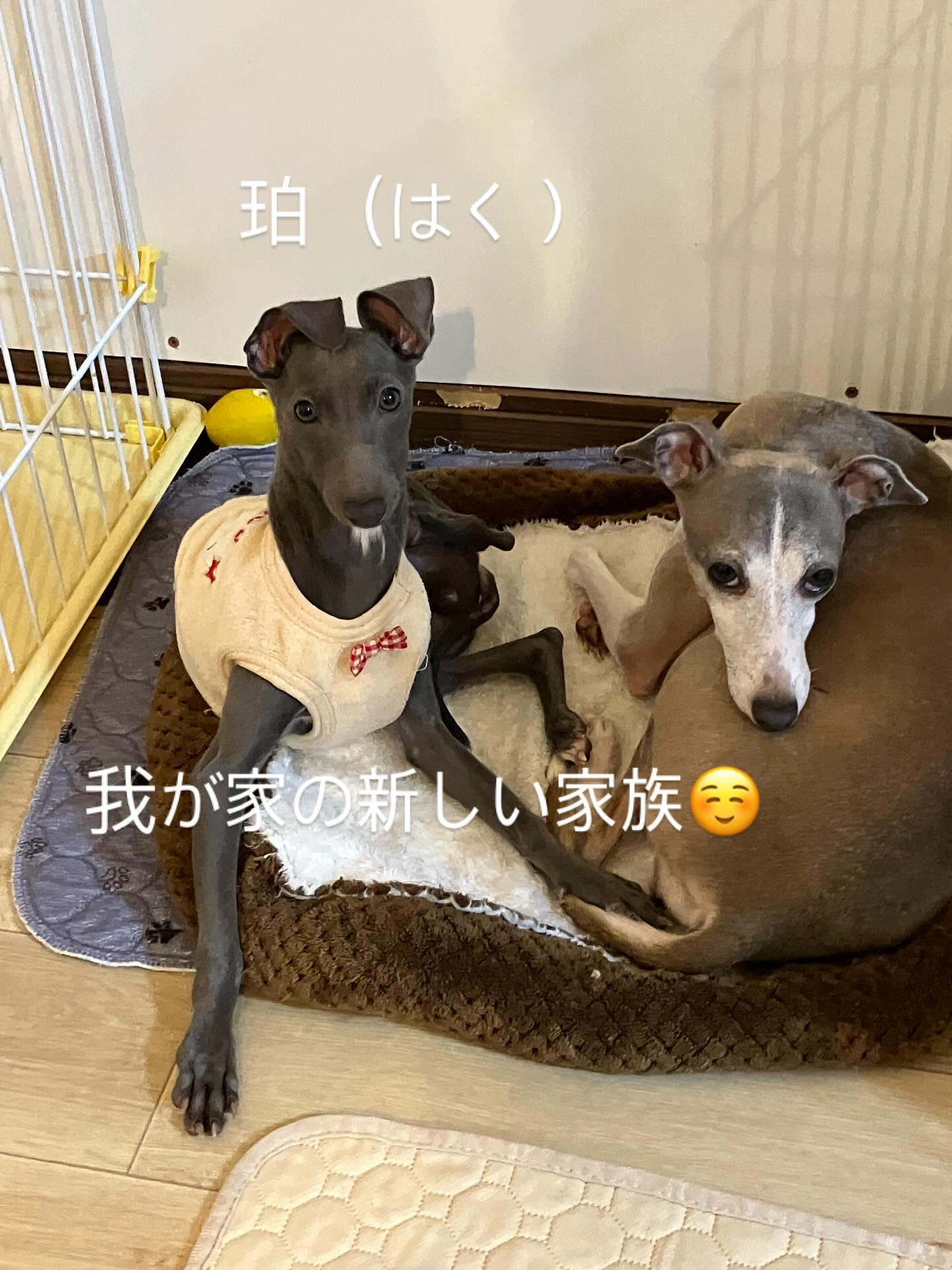 ずっと悩んで考えて待望の男の子とようやく出会うことができまし...