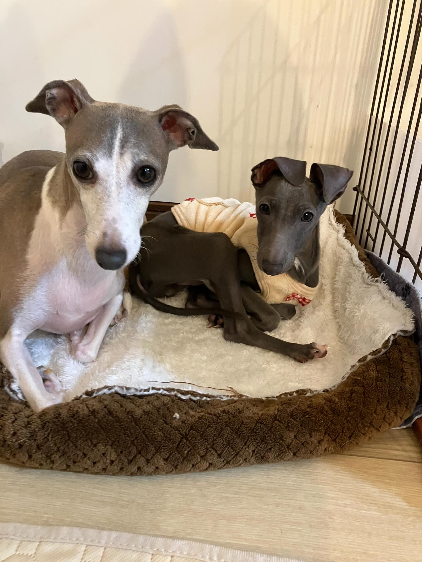 ずっと悩んで考えて待望の男の子とようやく出会うことができまし...