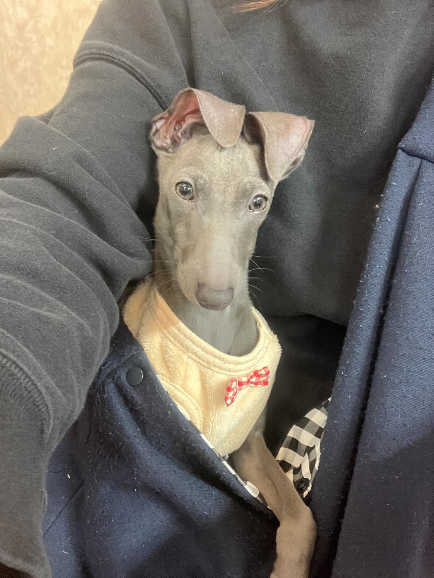 ずっと悩んで考えて待望の男の子とようやく出会うことができまし...