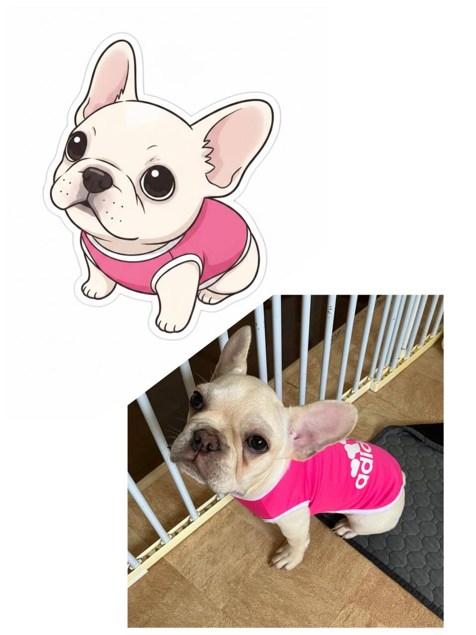 ご家族募集中です☺️