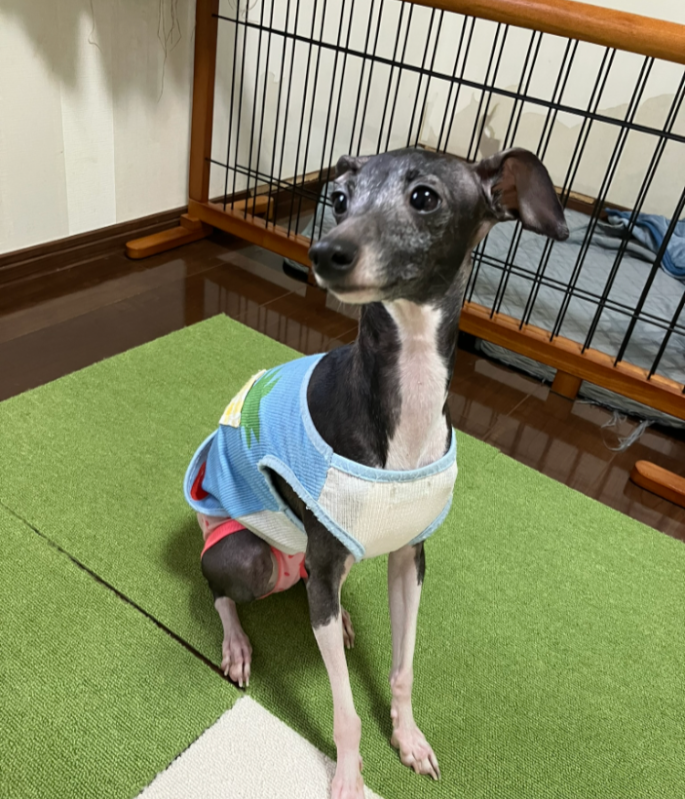 みくちゃん♡