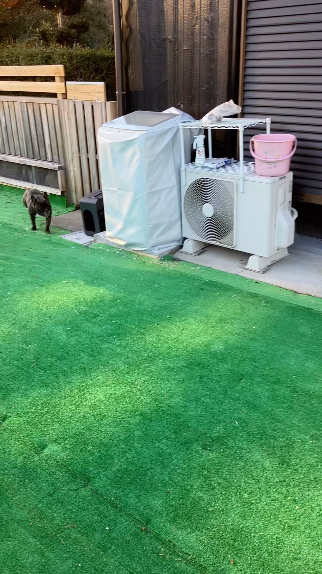 昨日はめちゃくちゃ寒くて今日はあったかい🤭