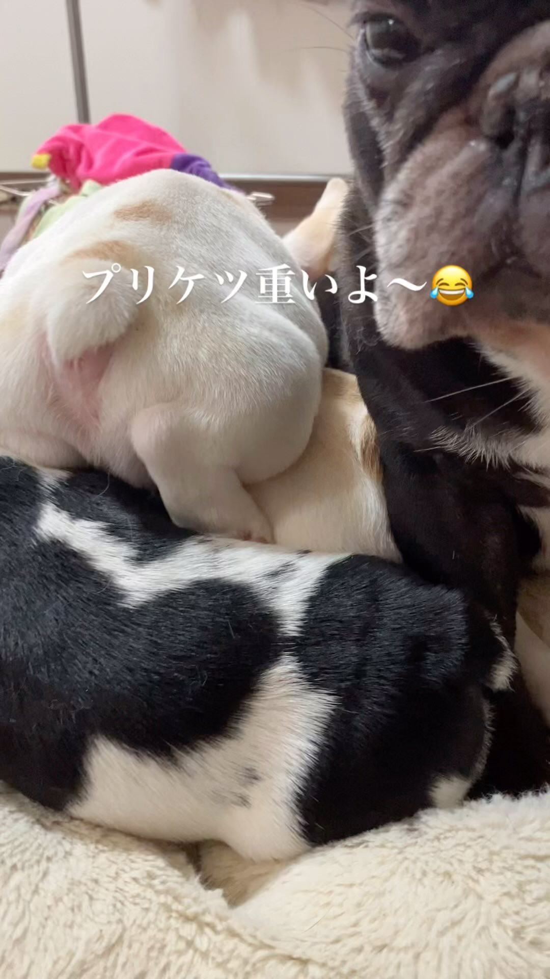 おねむなキッズ達❤️