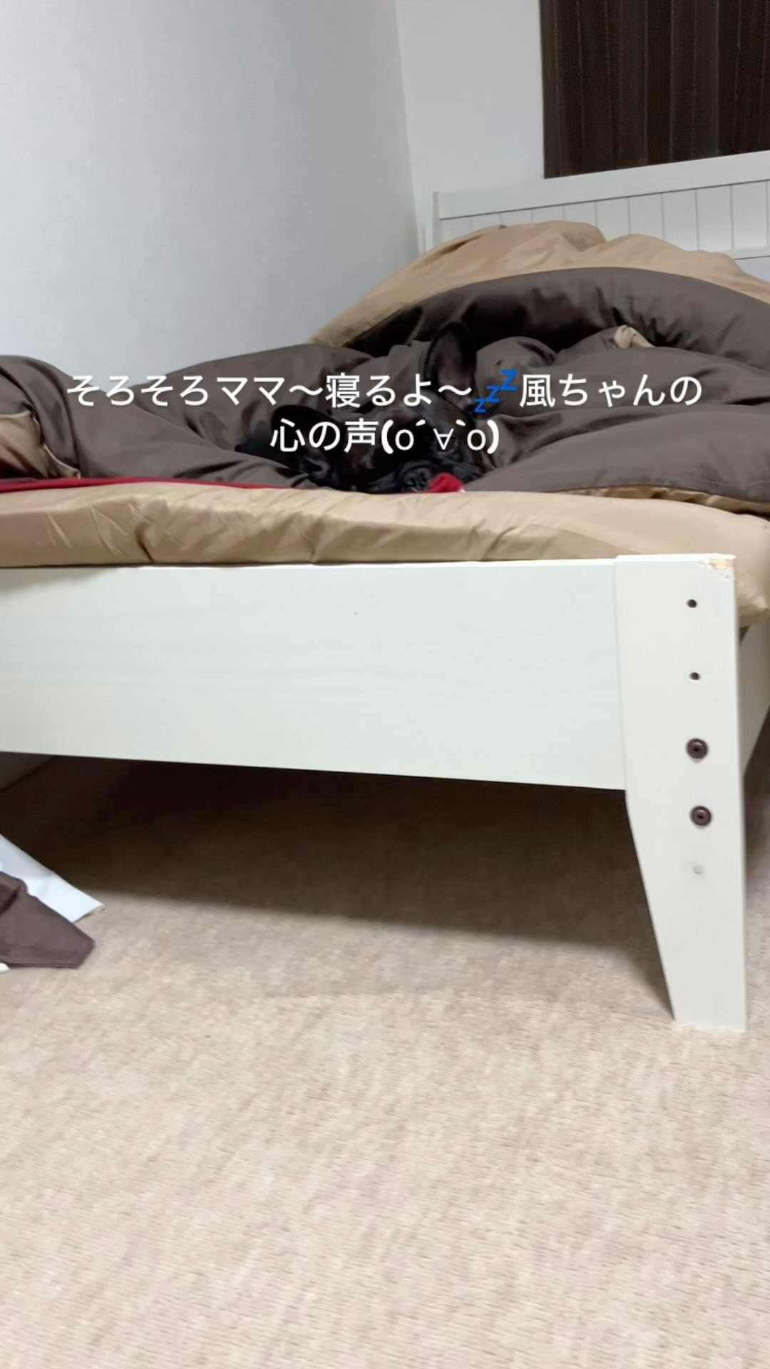 今日の風ちゃん☺️