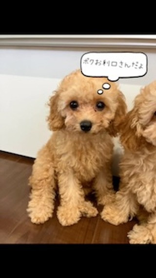 ご家族募集中です🥺