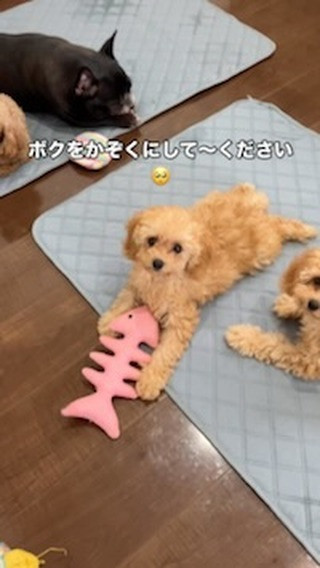 お問い合わせ　DM 宜しくお願いします🥺