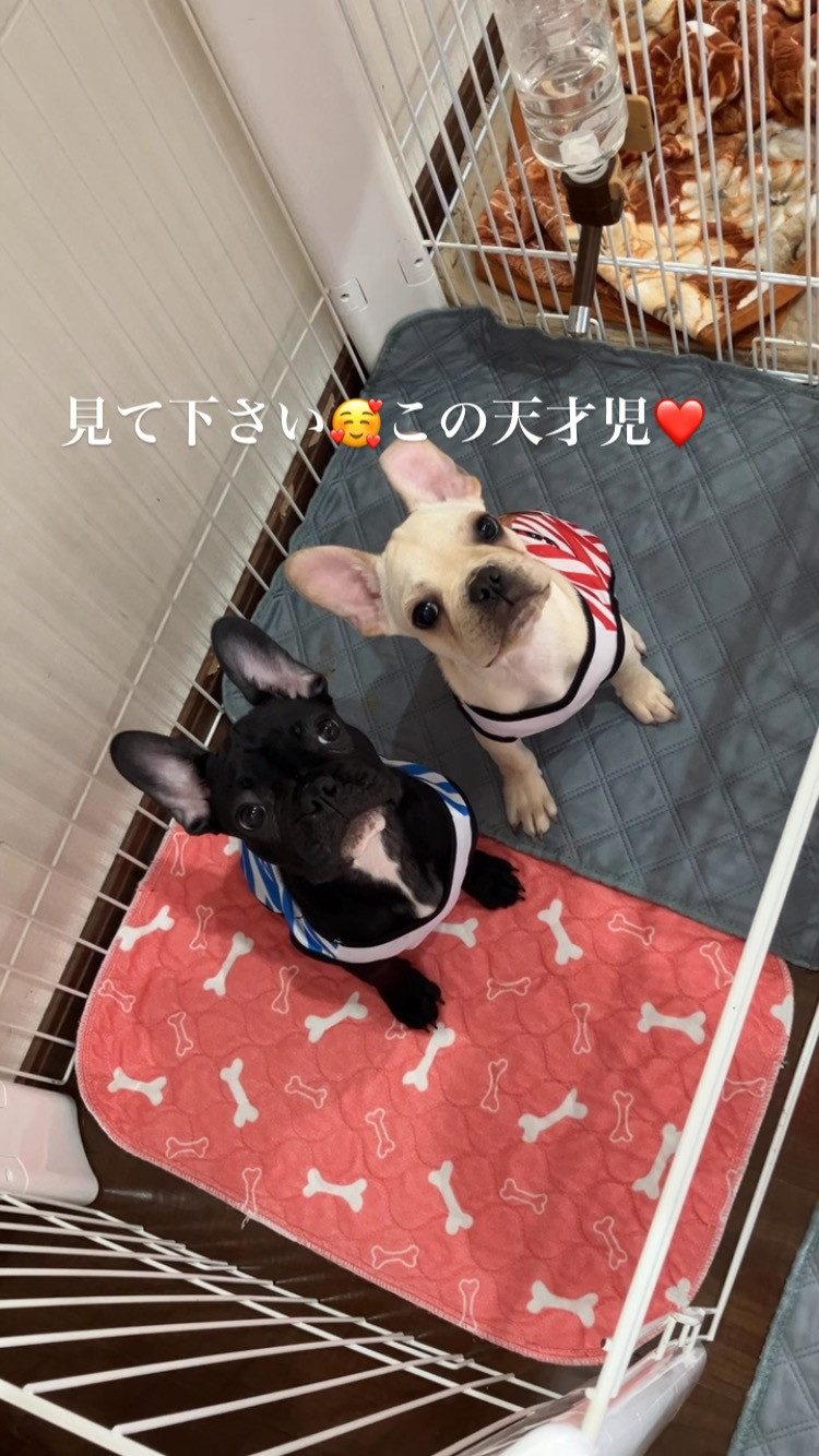 なんてお利口さんな2人だろう🥰