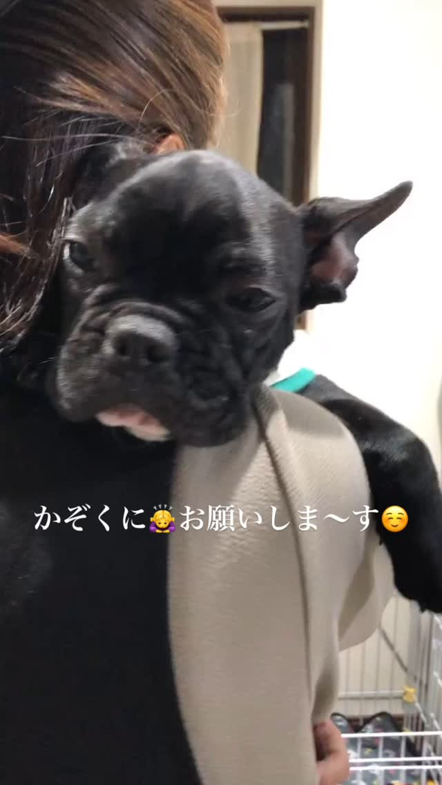 世の中はGW(о´∀`о)
