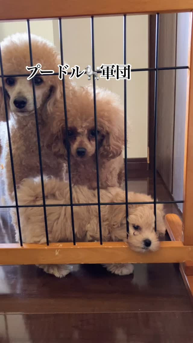 朝から可愛い姿(о´∀`о)💕