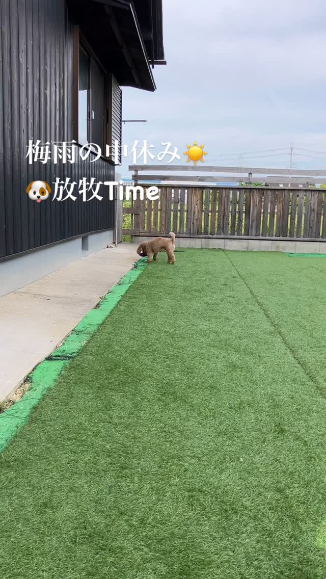 雨降りが続いてストレス溜まってそう😥