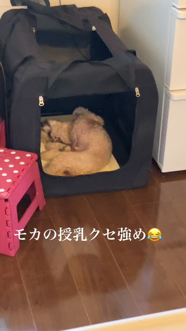 癒しの光景💕
