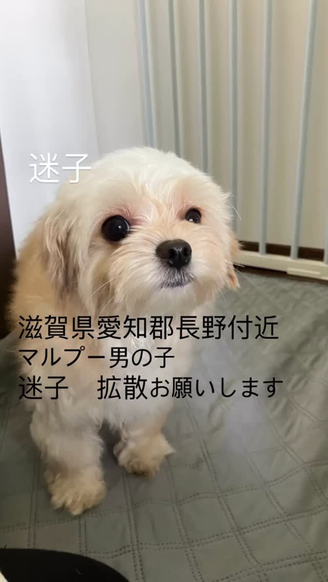 拡散お願いします🤲