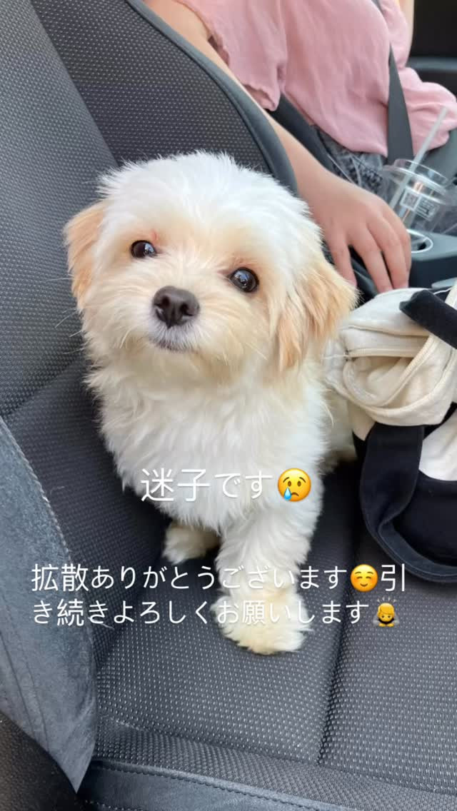 拡散ありがとうございます🙇‍♀️