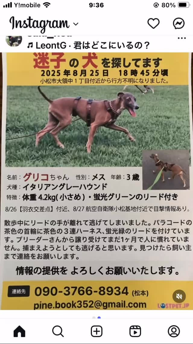 情報提供お願いします🤲
