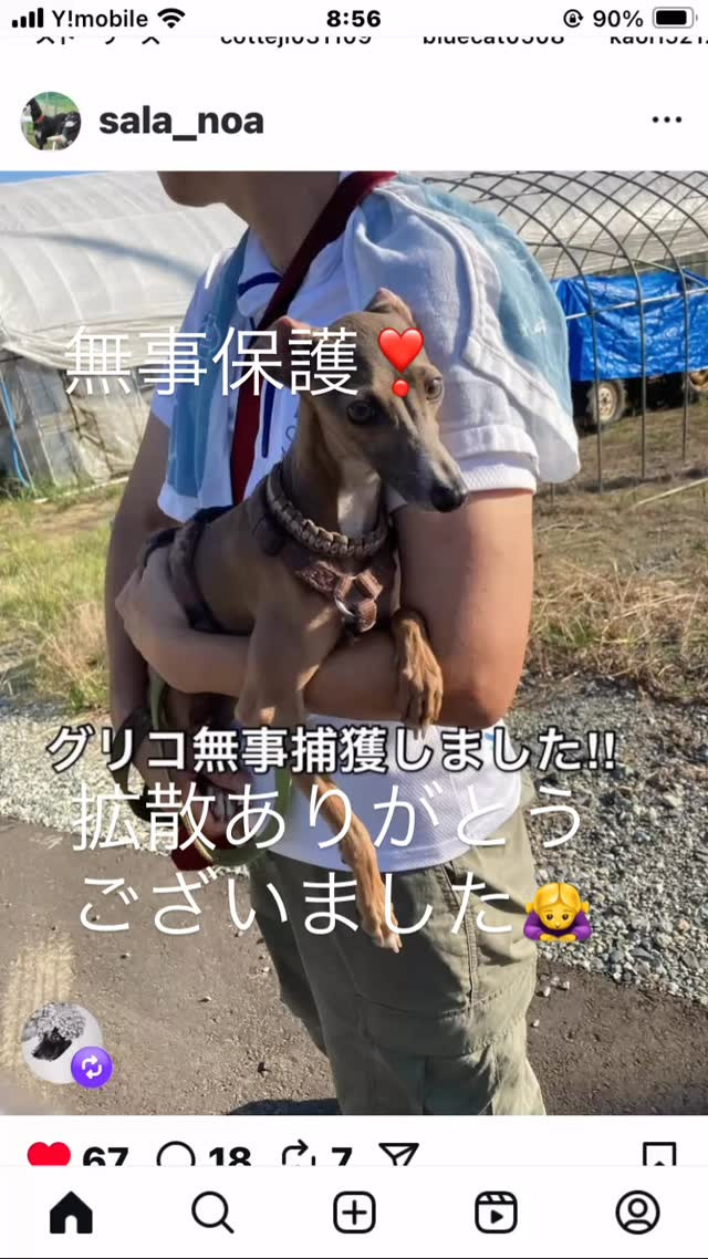 無事保護されたと☺️