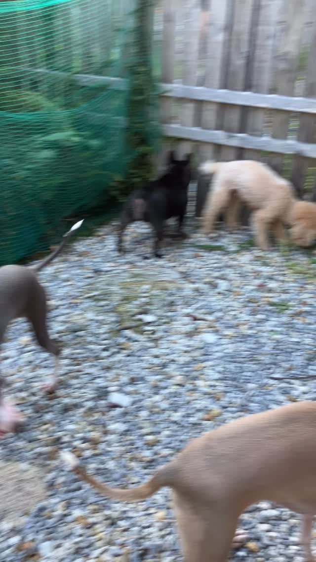 夕方きもち風が吹く😘