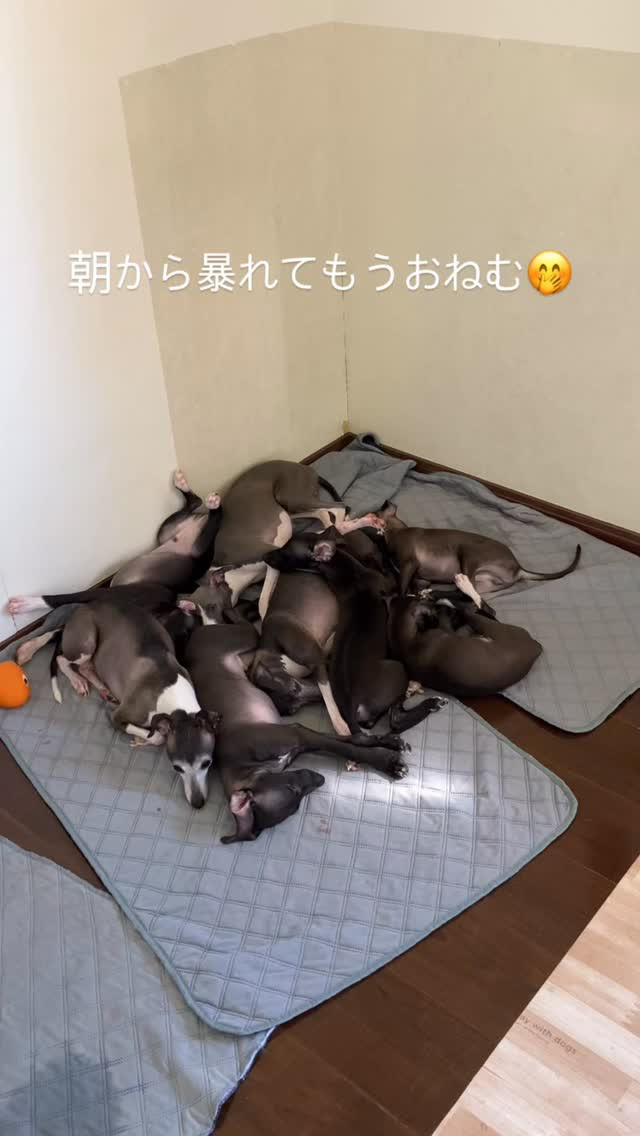 どうゆう状況って思うくらいの密着寝🤭