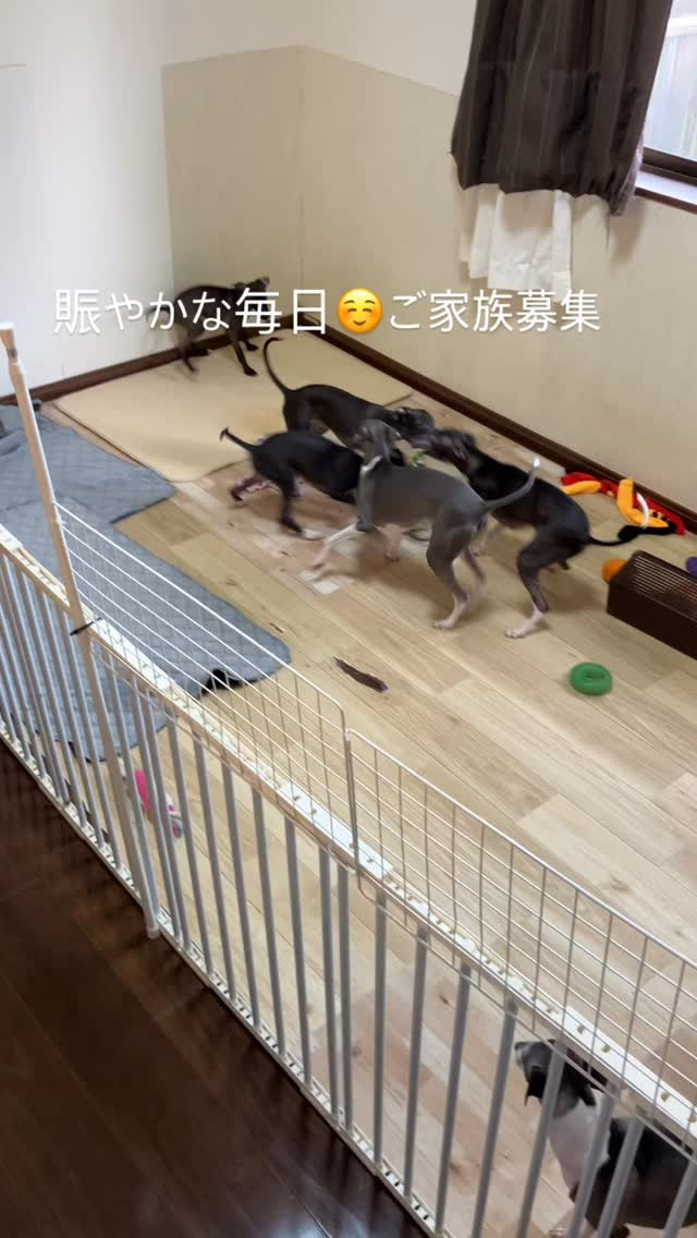 何気ない日常☺️元気でなにより💕