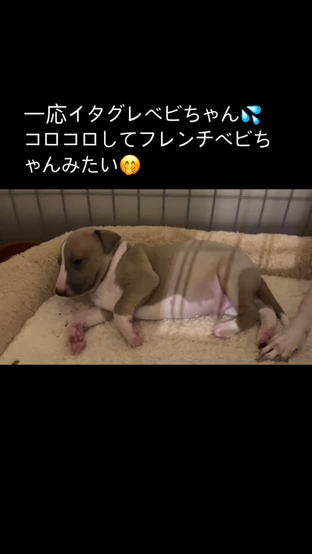 もうすぐ見学開始になります☺️